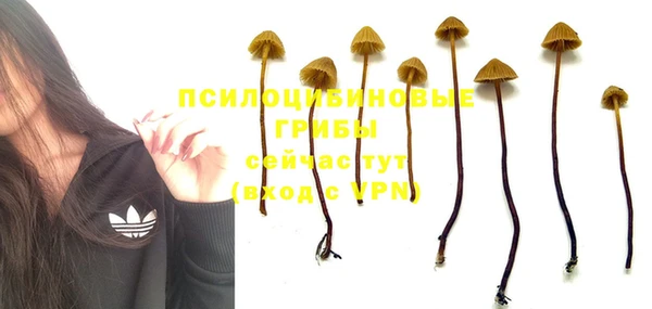 трава Алексеевка