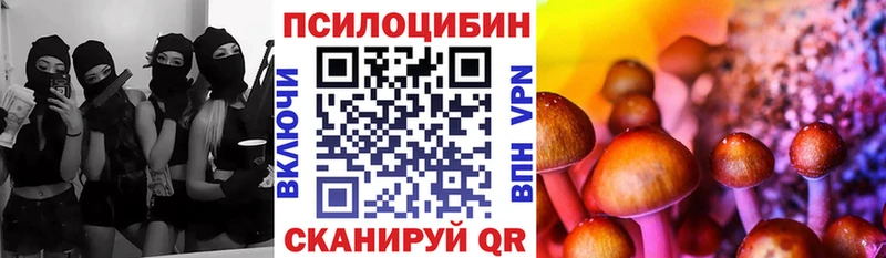 купить наркоту  Отрадная  Галлюциногенные грибы GOLDEN TEACHER 